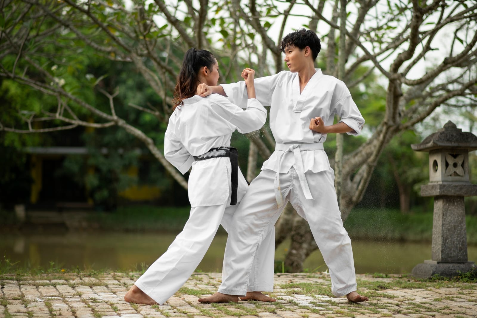 Two martial artists in white gis drilling a punch and block on a stone path by a pond